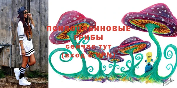 мет Белокуриха