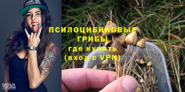 мет Белокуриха