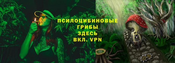 дурь Белоозёрский